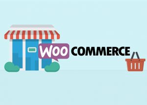 Is WooCommerce a Good Fit For Your Ecommerce Business?